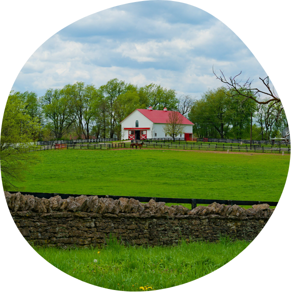 Lexington, Kentucky horse farm